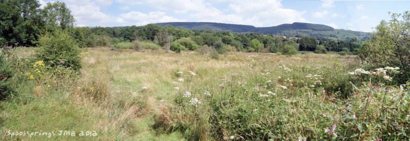 grasslandmeadow.jpg