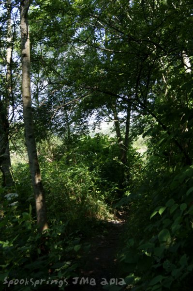 riverwoodland.jpg