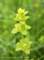 crosswort_small.jpg